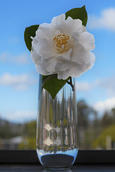 Enlarge photo 20