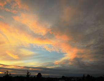 Enlarge photo 15
