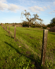 December, 2010