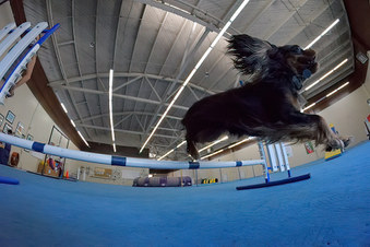 Enlarge photo 15