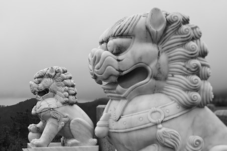 Enlarge photo 20