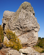 Enlarge photo 16
