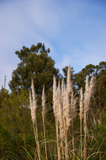 Enlarge photo 26