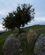 Enlarge photo 29