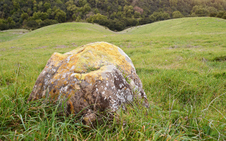 Enlarge photo 31
