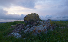 Enlarge photo 30