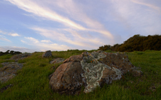 Enlarge photo 12