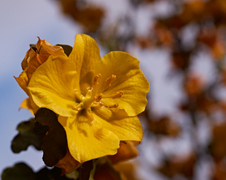 Enlarge photo 20