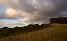 Enlarge photo 17