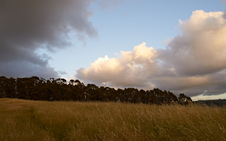 Enlarge photo 18