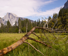 Enlarge photo 10