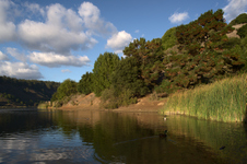 Enlarge photo 15