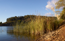 Enlarge photo 17
