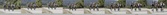 Enlarge photo 271