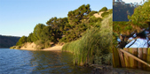 Enlarge photo 256