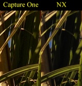 Enlarge photo 274
