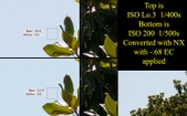 Enlarge photo 290