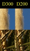 Enlarge photo 273