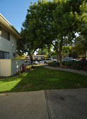 Enlarge photo 113
