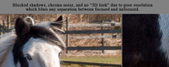 Enlarge photo 182