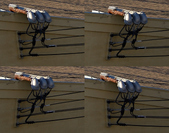 Enlarge photo 174