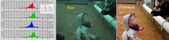 Enlarge photo 81