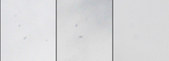 Enlarge photo 127
