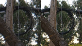 Enlarge photo 49