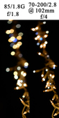 Enlarge photo 301