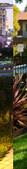 Enlarge photo 88
