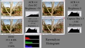 Enlarge photo 260