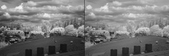 Enlarge photo 208