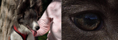 Enlarge photo 162