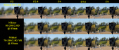 Enlarge photo 194