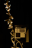Enlarge photo 299