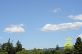 Enlarge photo 177