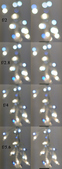 Enlarge photo 297