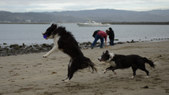 Enlarge photo 126