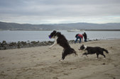 Enlarge photo 125