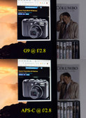 Enlarge photo 74