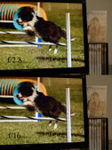 Enlarge photo 70
