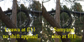 Enlarge photo 50