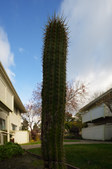 Enlarge photo 47