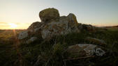 Enlarge photo 202