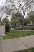 Enlarge photo 43