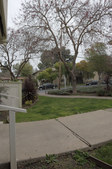 Enlarge photo 42