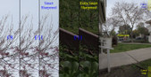 Enlarge photo 45