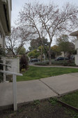 Enlarge photo 41
