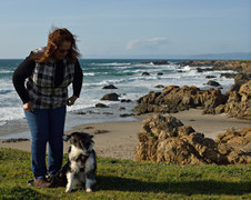 Enlarge photo 3