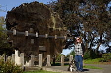 Enlarge photo 5